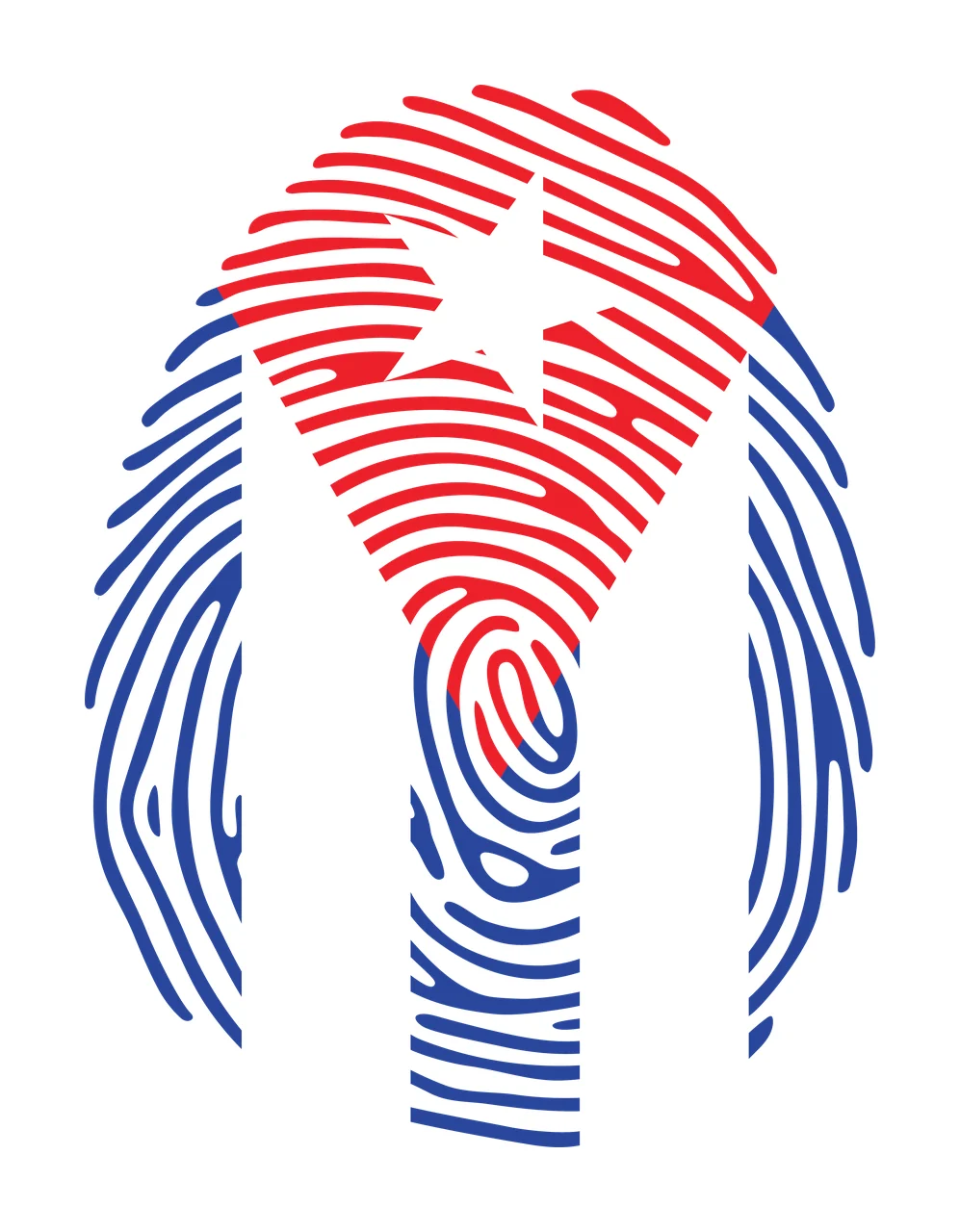 Detailed Fingerprint Swirl Pattern spiraling lines black white
