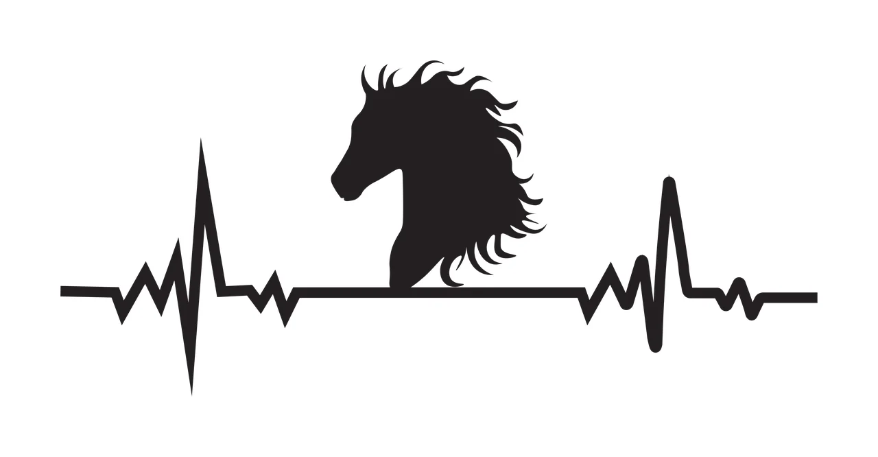 Horse head silhouette on heartbeat line Illustration with black horse head silhouette in white