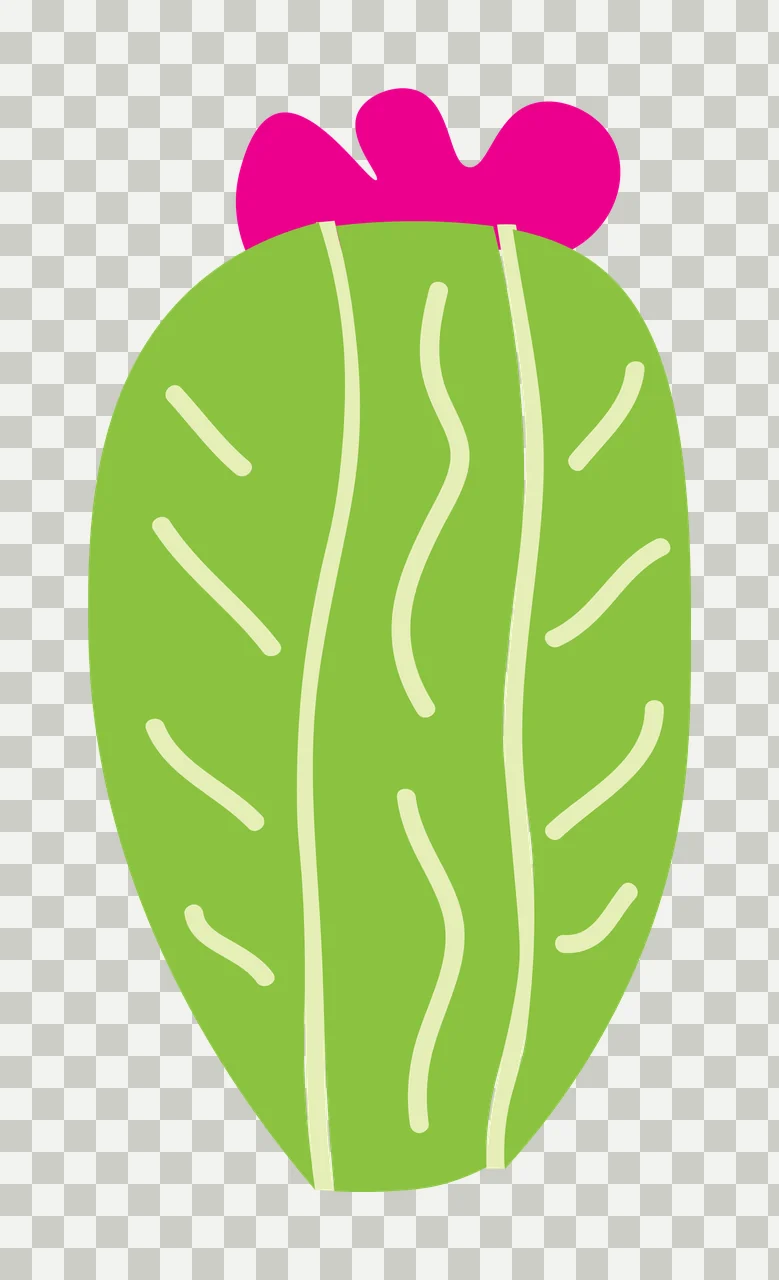 Flat Cartoon Illustration of Cactus with pink flower with green cactus body, pink flower top, white vertical ridges and white diagonal spines transparency and detail preview thumbnail