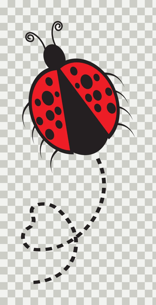 Ladybug with heart-shaped trail Illustration with red ladybug with black spots, black antennae, black legs and dashed line forming a heart transparency and detail preview thumbnail