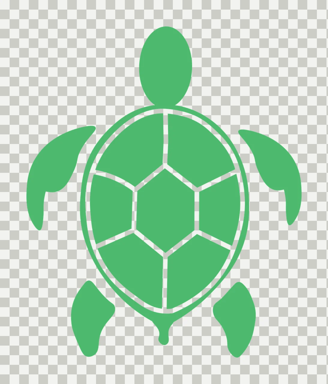Sea turtle Illustration with segmented shell, front flippers, rear flippers and head in green and white transparency and detail preview thumbnail