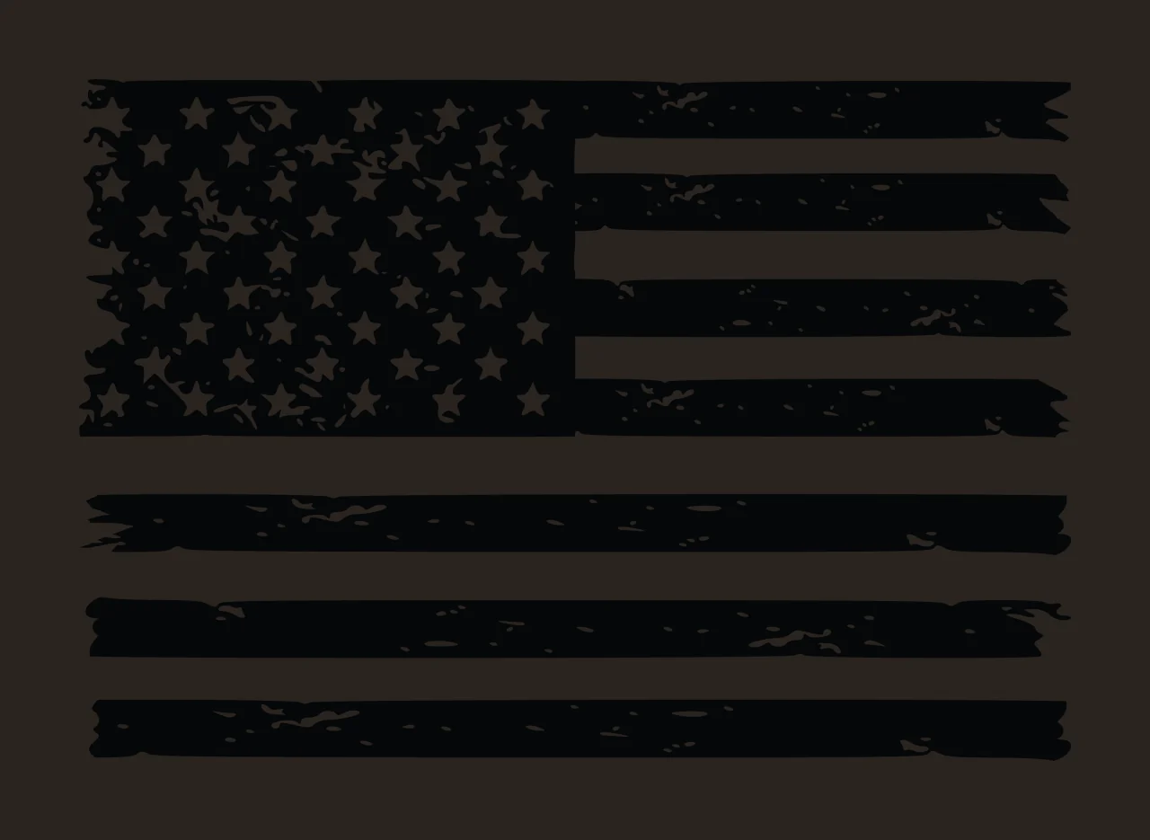Flag Distressed Graphic With Two Black Horizontal Stripes displaying contrast preview thumbnail