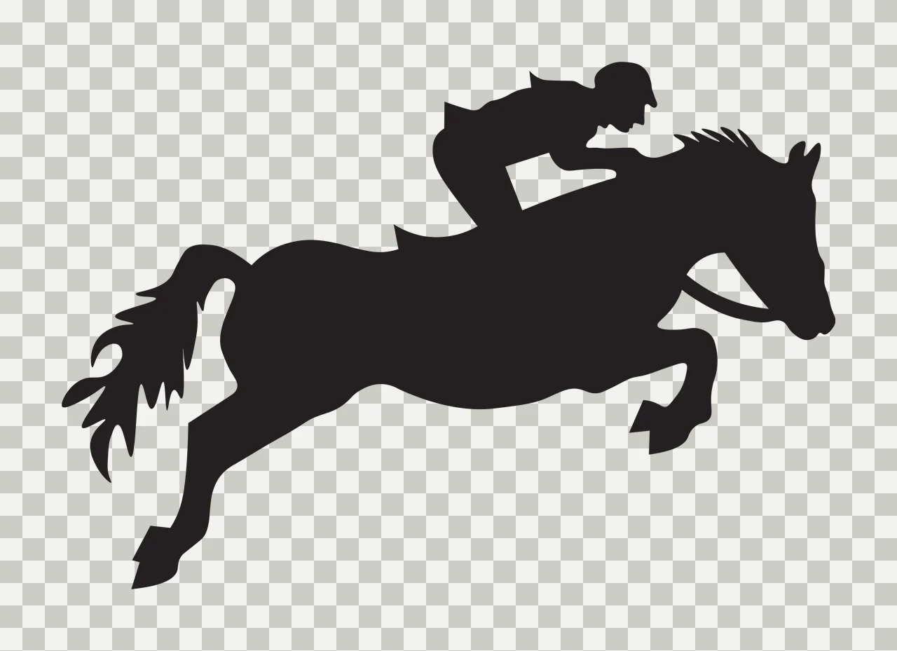 Silhouette of equestrian rider and horse in mid-air jump Illustration with black horse silhouette, flowing horse tail, horse mane and saddle transparency and detail preview thumbnail