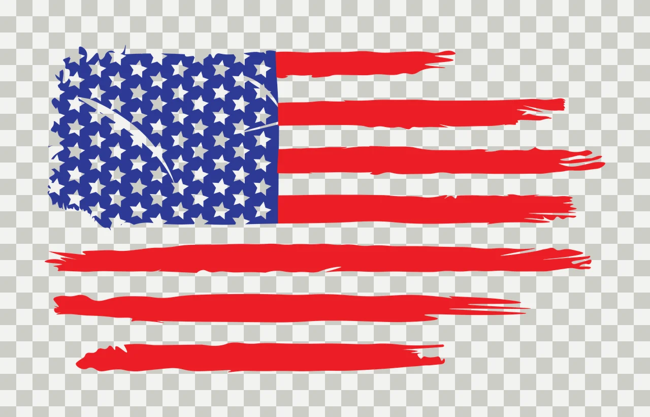 Flag Black And White American Graphic pattern stars stripes transparency and detail preview thumbnail