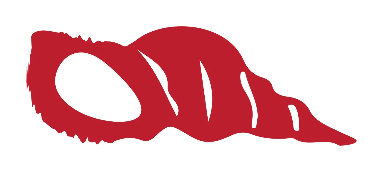 Seashell silhouette Illustration with seashell aperture, ridged shell body and white cutouts in red