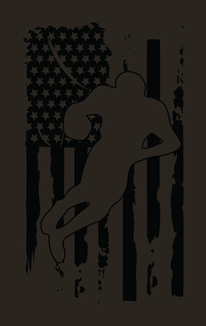 Football Flag American With Player Silhouette jumping stars contrast preview thumbnail