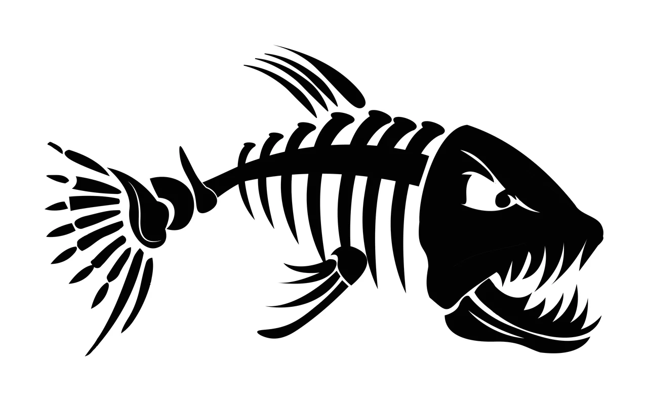 Bones Angry Fish Skeleton Graphic With Teeth posing spines