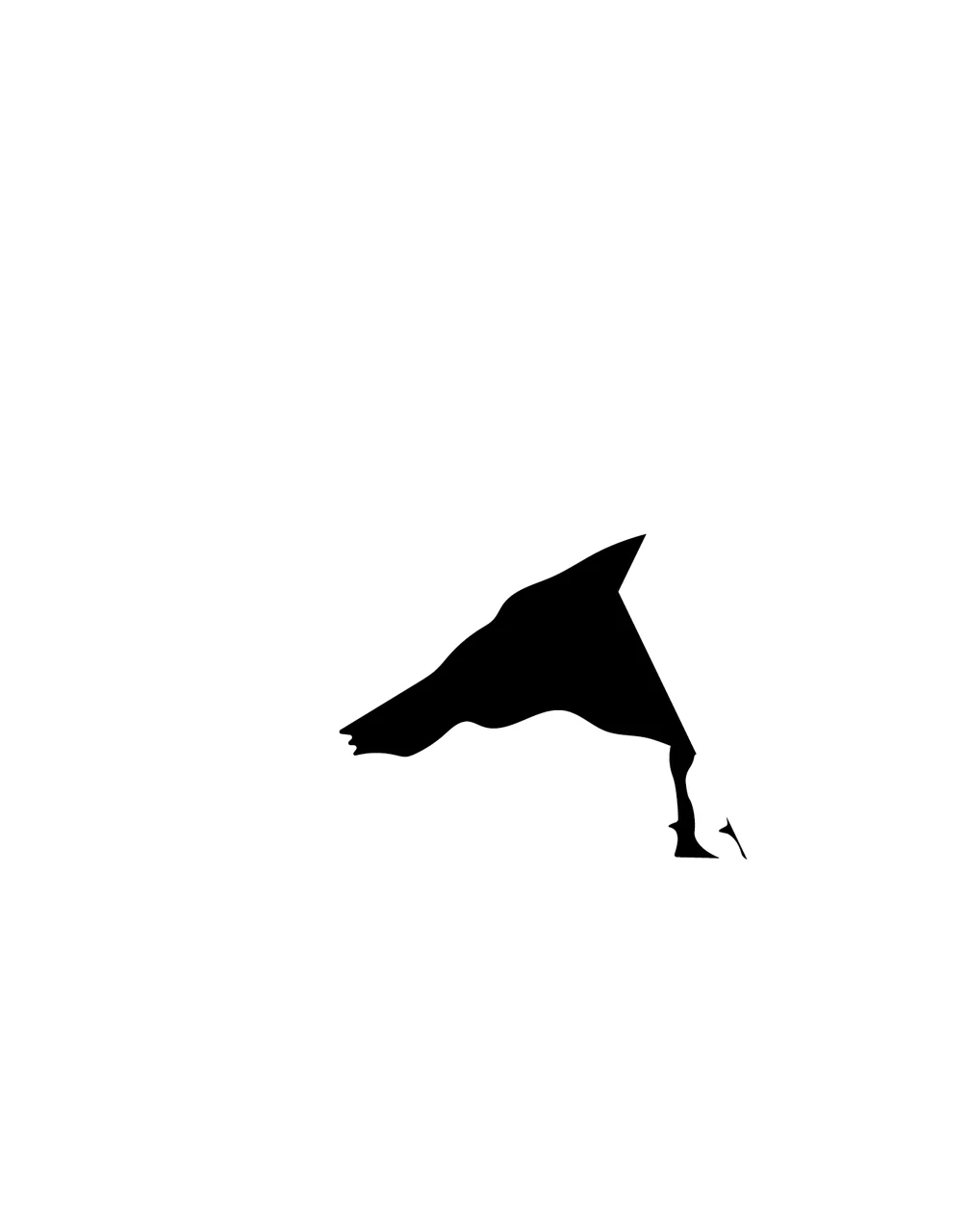 Can Glass Wrap Shark Fin Swimming With Small