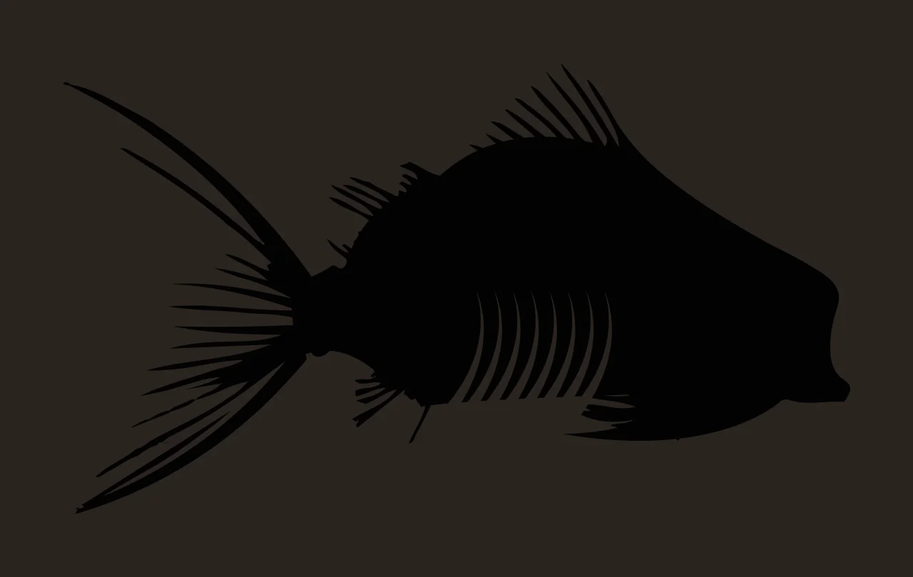 Bones Fish Skeleton Silhouette Profile View swimming fins spine contrast preview thumbnail