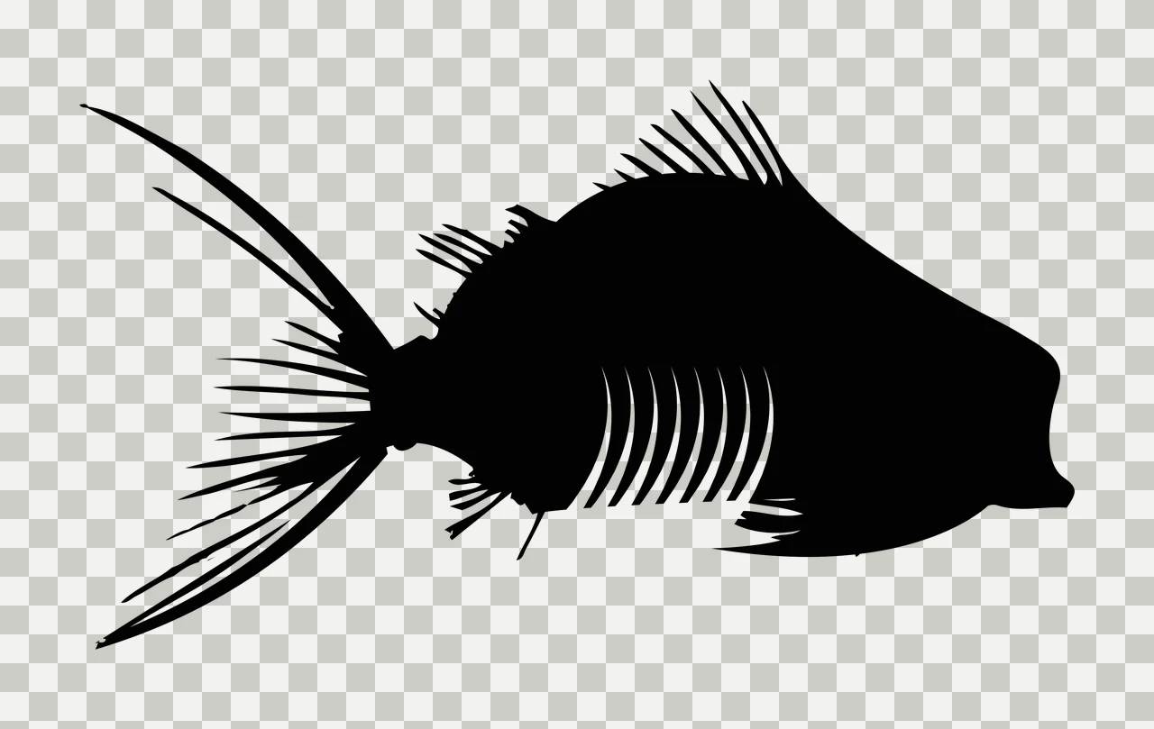 Bones Fish Skeleton Silhouette Profile View swimming fins spine transparency and detail preview thumbnail