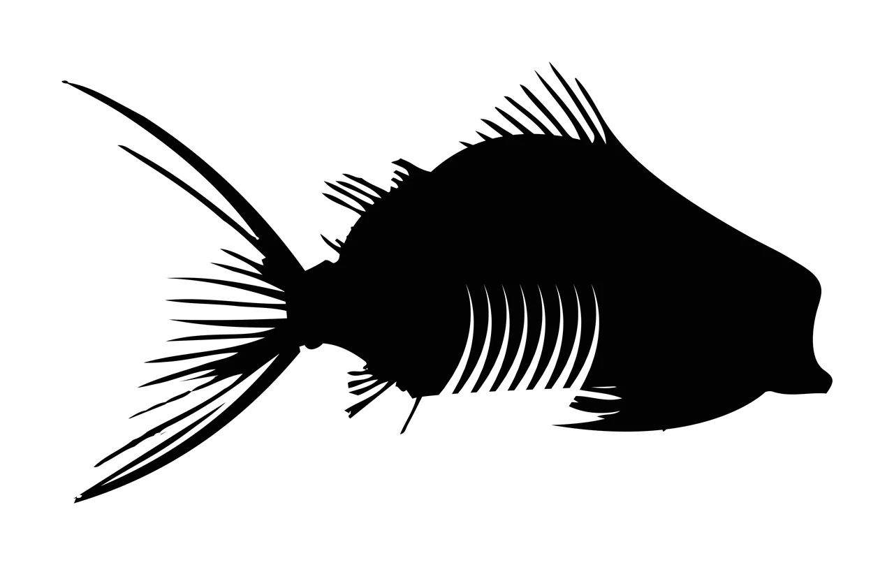 Bones Fish Skeleton Silhouette Profile View swimming fins spine