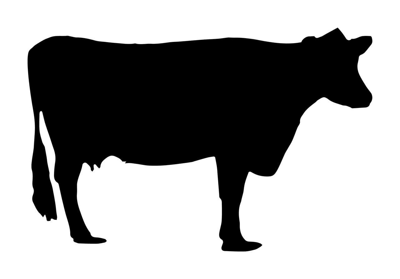 Cow Black Silhouette Of A Farm Standing solid white animal