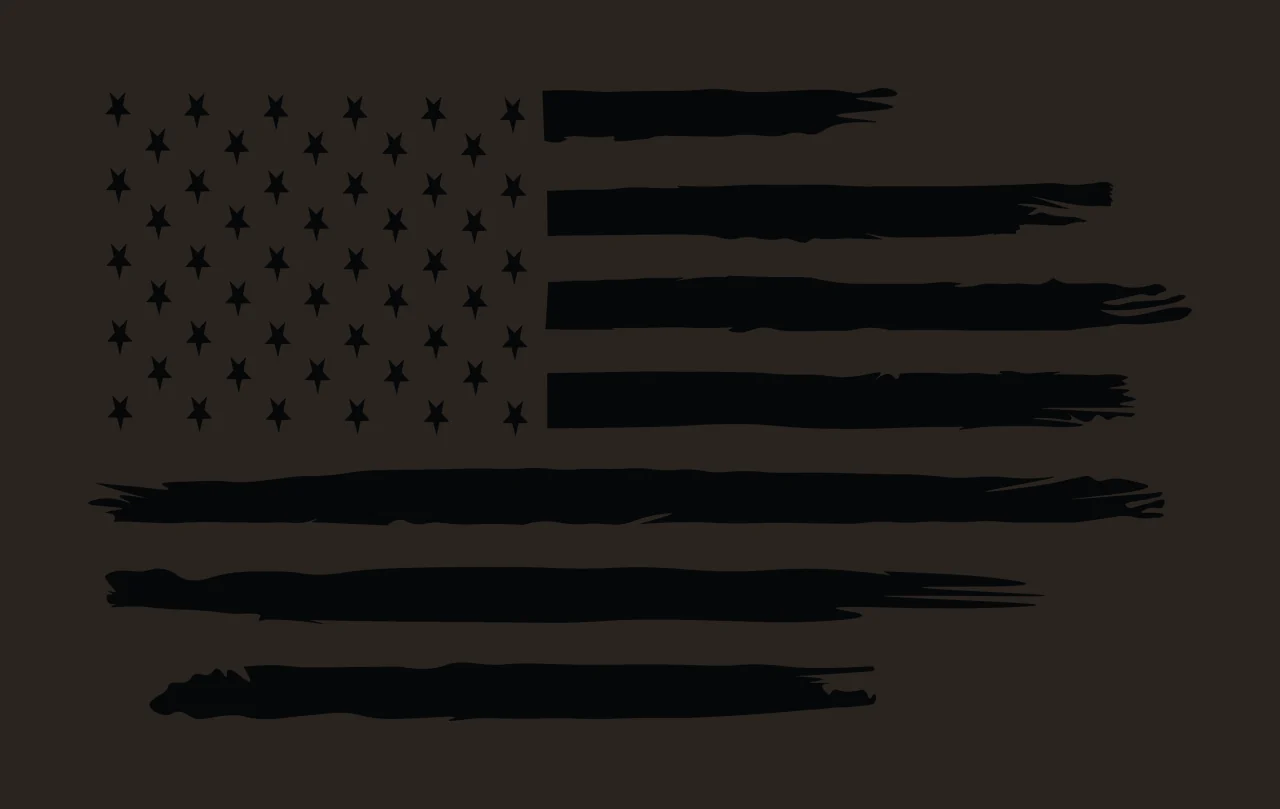 Flag Stars American Design With Horizontal Brushstrokes stripes contrast preview thumbnail