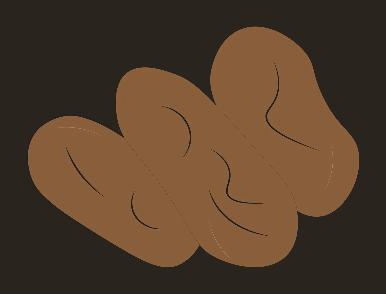 Dried dates Illustration with brown dried dates, black line details and flat shapes in white contrast preview thumbnail