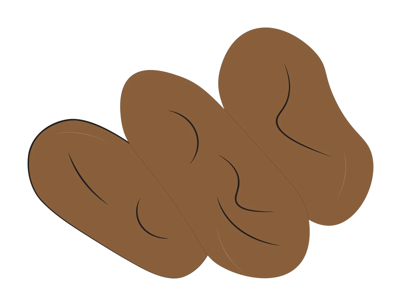 Dried dates Illustration with brown dried dates, black line details and flat shapes in white