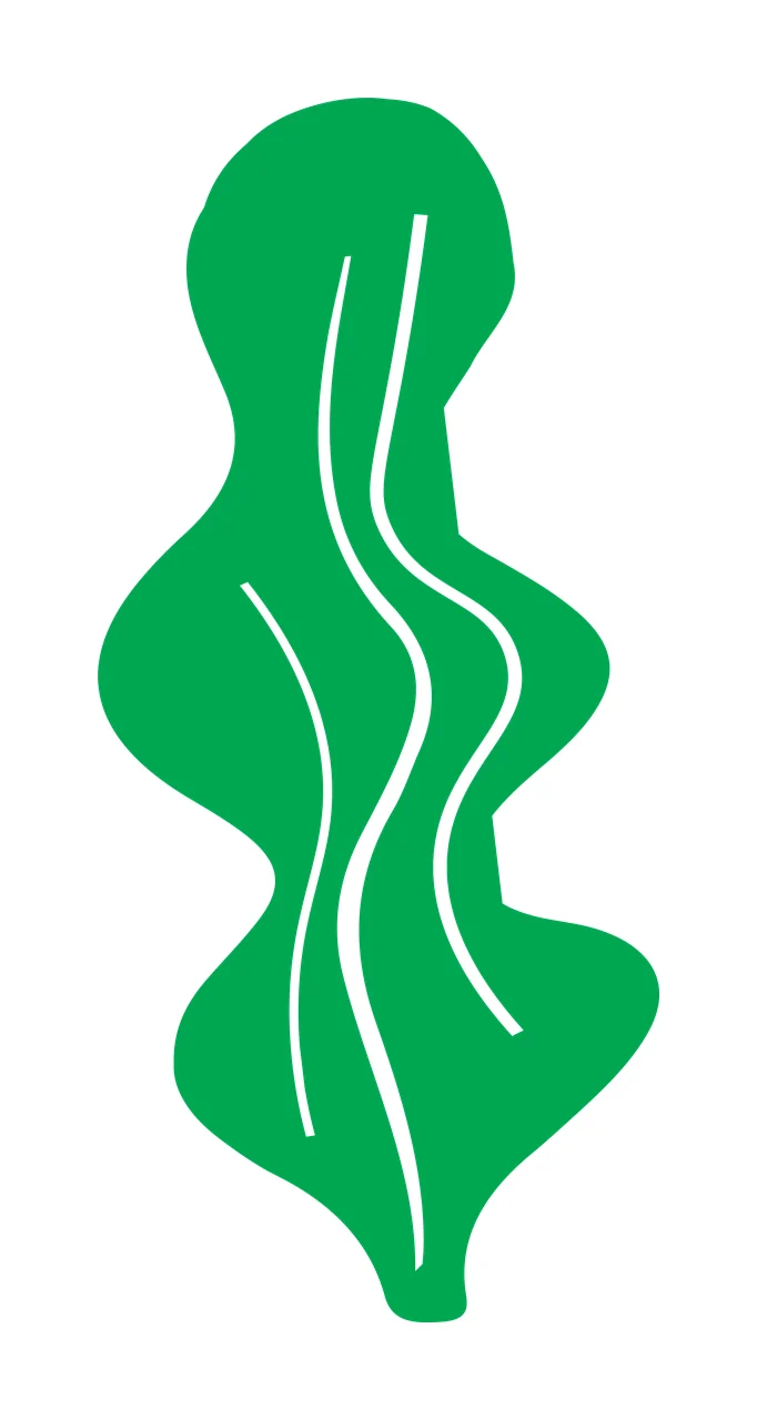 Abstract Organic Shape With Vertical Interior Flowing White lines