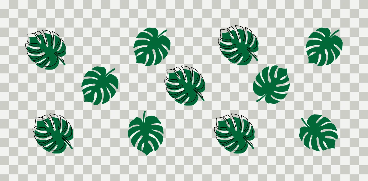 Can Glass Wrap Pattern Of Split Tropical Leaves botanical element transparency and detail preview thumbnail