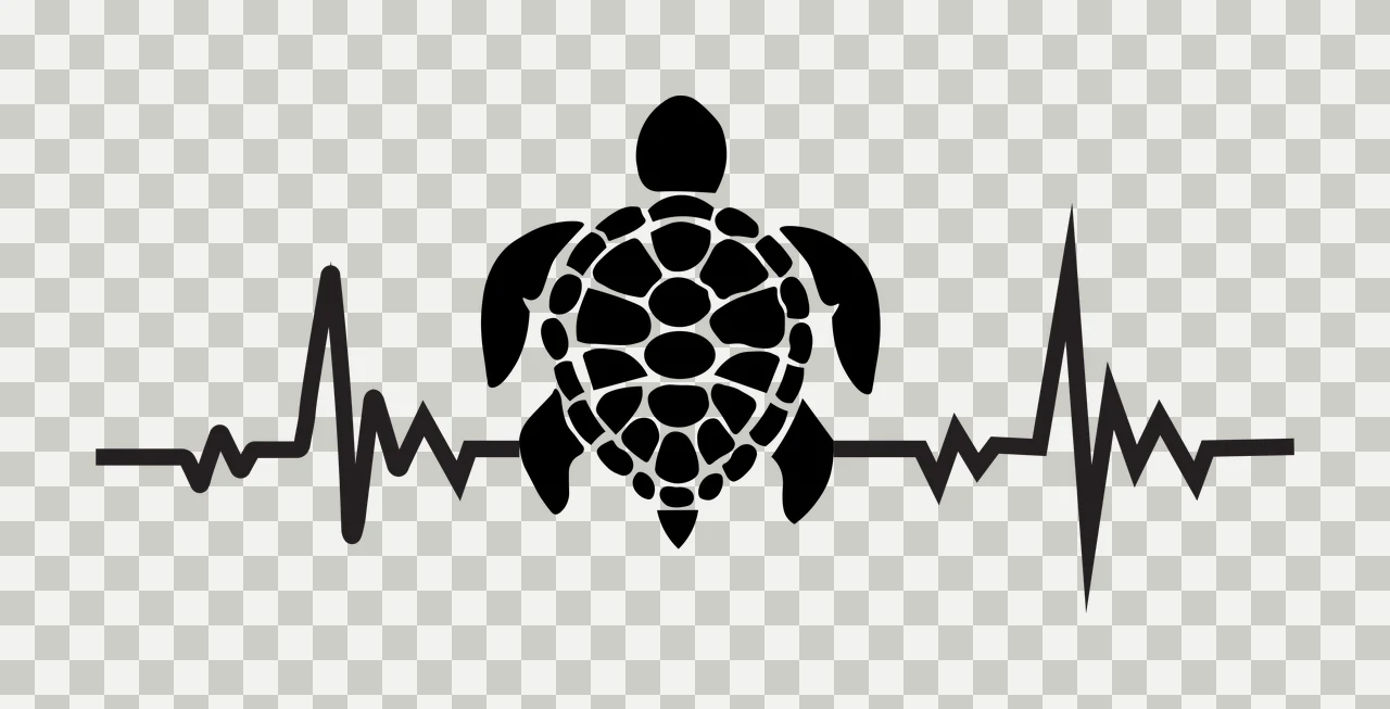 Silhouette Design of sea turtle with heartbeat line, EKG pulse, ECG line and shell pattern in black and white transparency and detail preview thumbnail