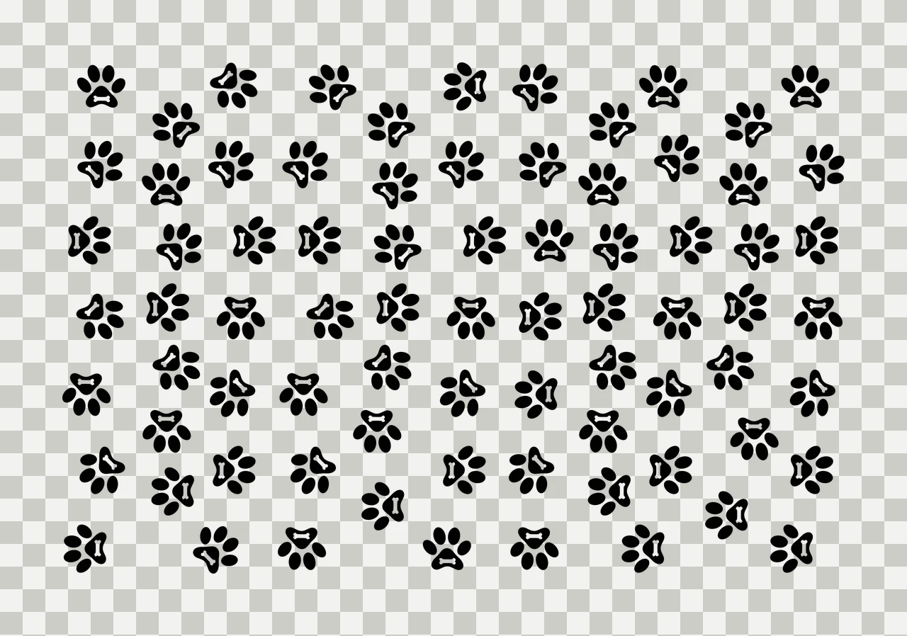 Dog paw prints with bones Illustration with bone shapes, pads and toes in black and white transparency and detail preview thumbnail