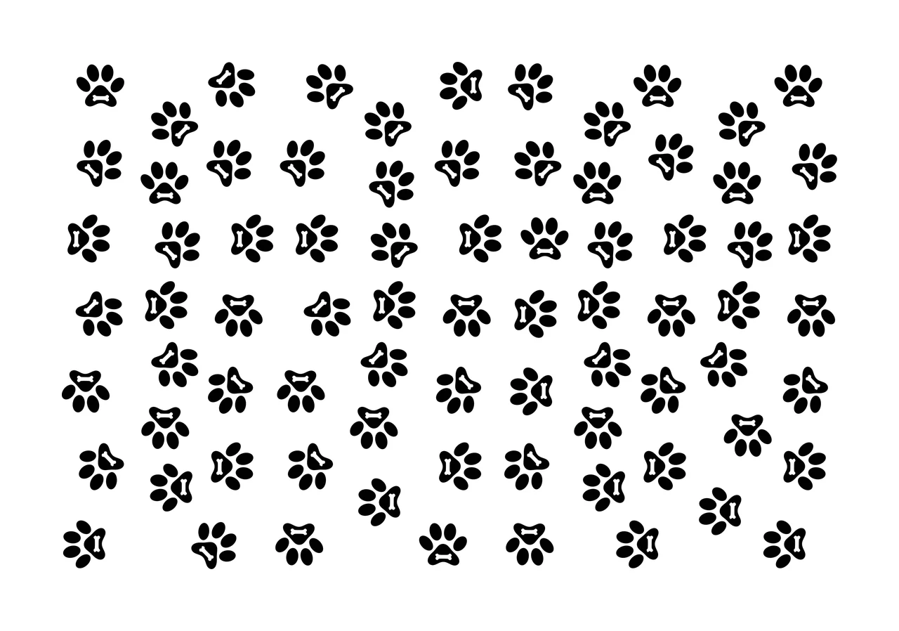 Dog paw prints with bones Illustration with bone shapes, pads and toes in black and white