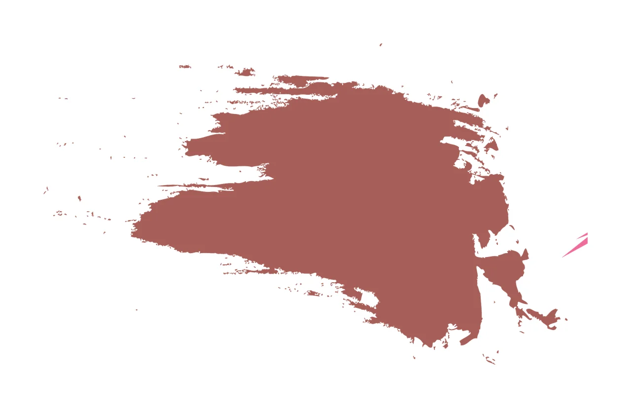 Paint Brush Black Stroke Graphic splatter abstract white ink