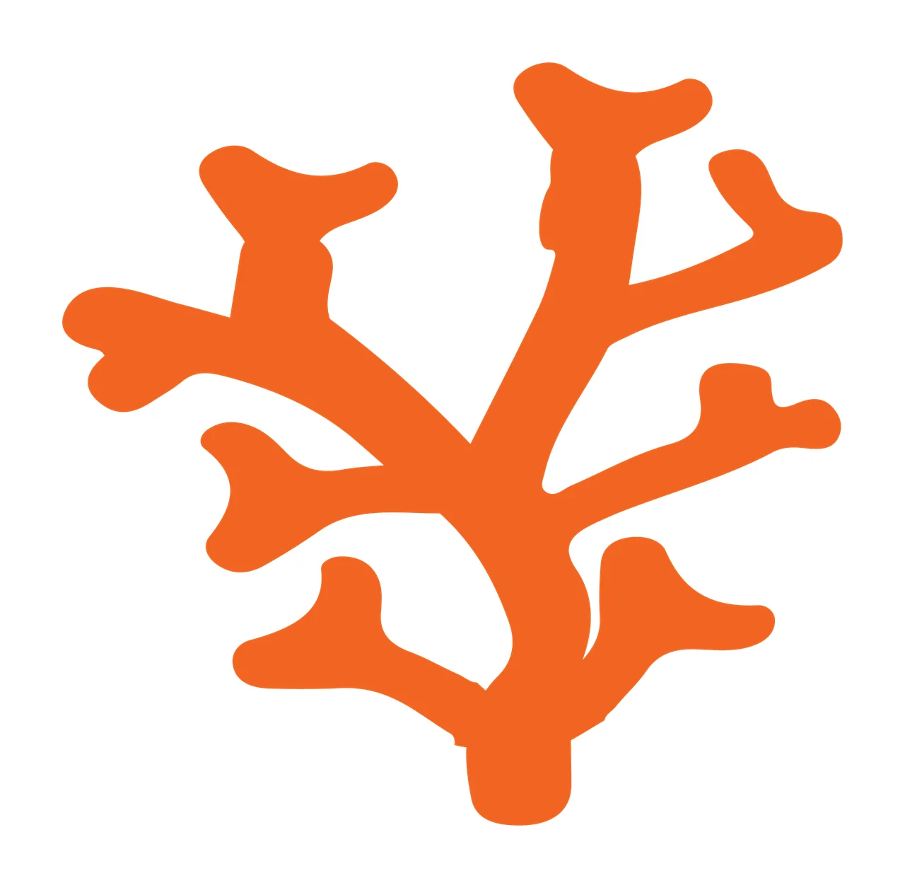 Simple Black Coral Silhouette On A Plain White branches flat