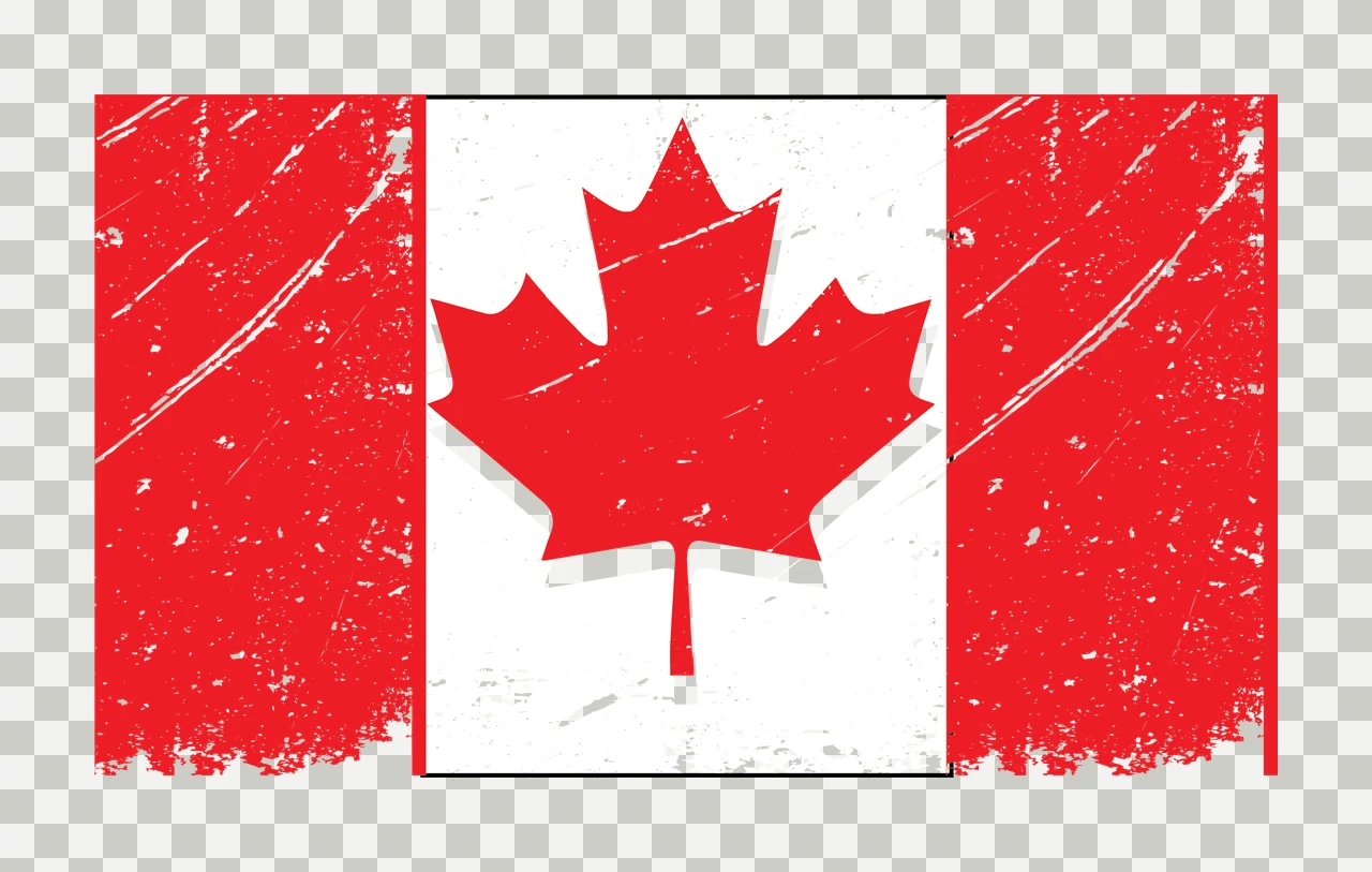 Maple Leaf Grunge Design Element black nature texture symbol transparency and detail preview thumbnail