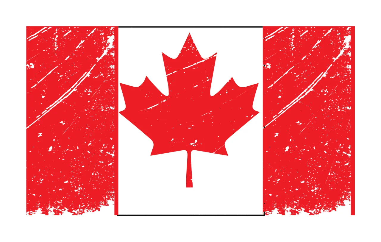 Maple Leaf Grunge Design Element black nature texture symbol