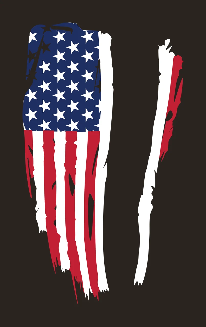 Flag Distressed Vertical Line Design stars stripes black and white contrast preview thumbnail