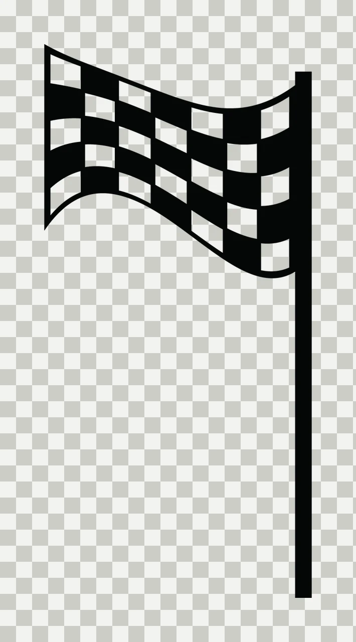Can Glass Wrap Black And White Checkered Finish transparency and detail preview thumbnail