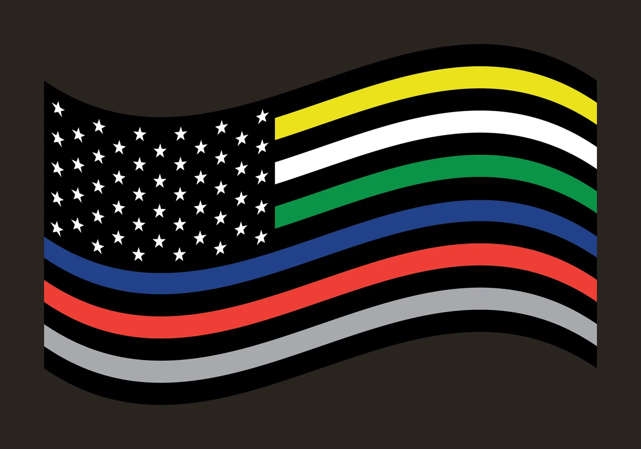 American flag variation Illustration with stars, horizontal stripes, thin blue line and thin red line in black contrast preview thumbnail