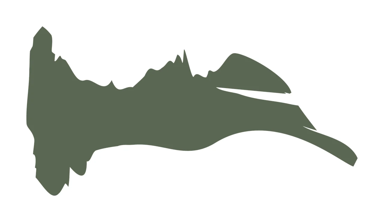 Black Abstract Jagged Horizontal Shape Extending edge projection