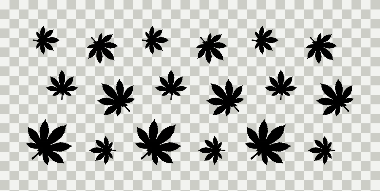 Can Glass Wrap Pattern Of Scattered Black Botanical leaves transparency and detail preview thumbnail