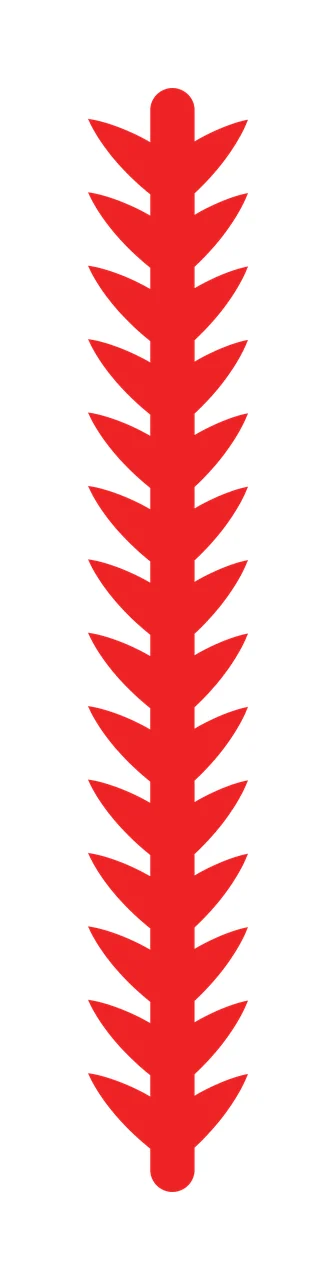 Long Vertical Stem Featuring Symmetrical Spiky Triangular Leaves