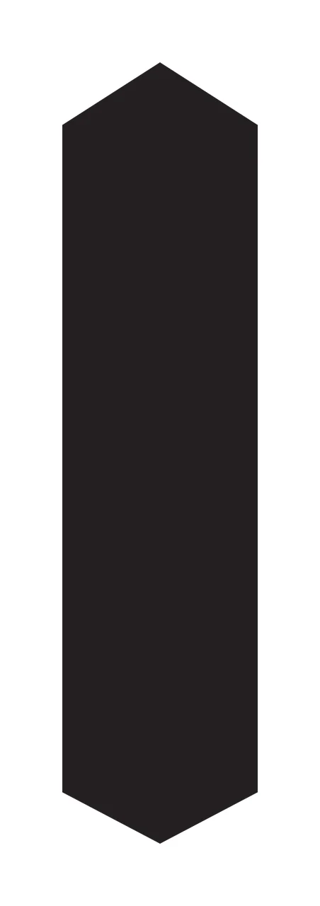 Vertical Black Hexagon Shape With Flat Sides minimalist white