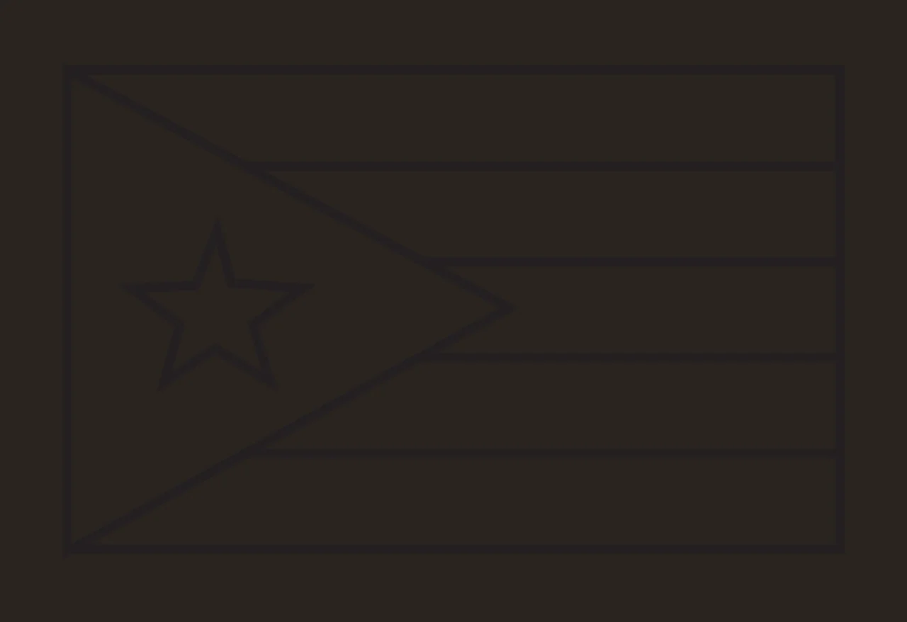 Flag With Triangle And Star Icon horizontal lines line art contrast preview thumbnail