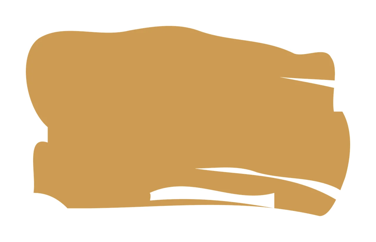 Paint Brush Black Horizontal Stroke Shape minimalist mark