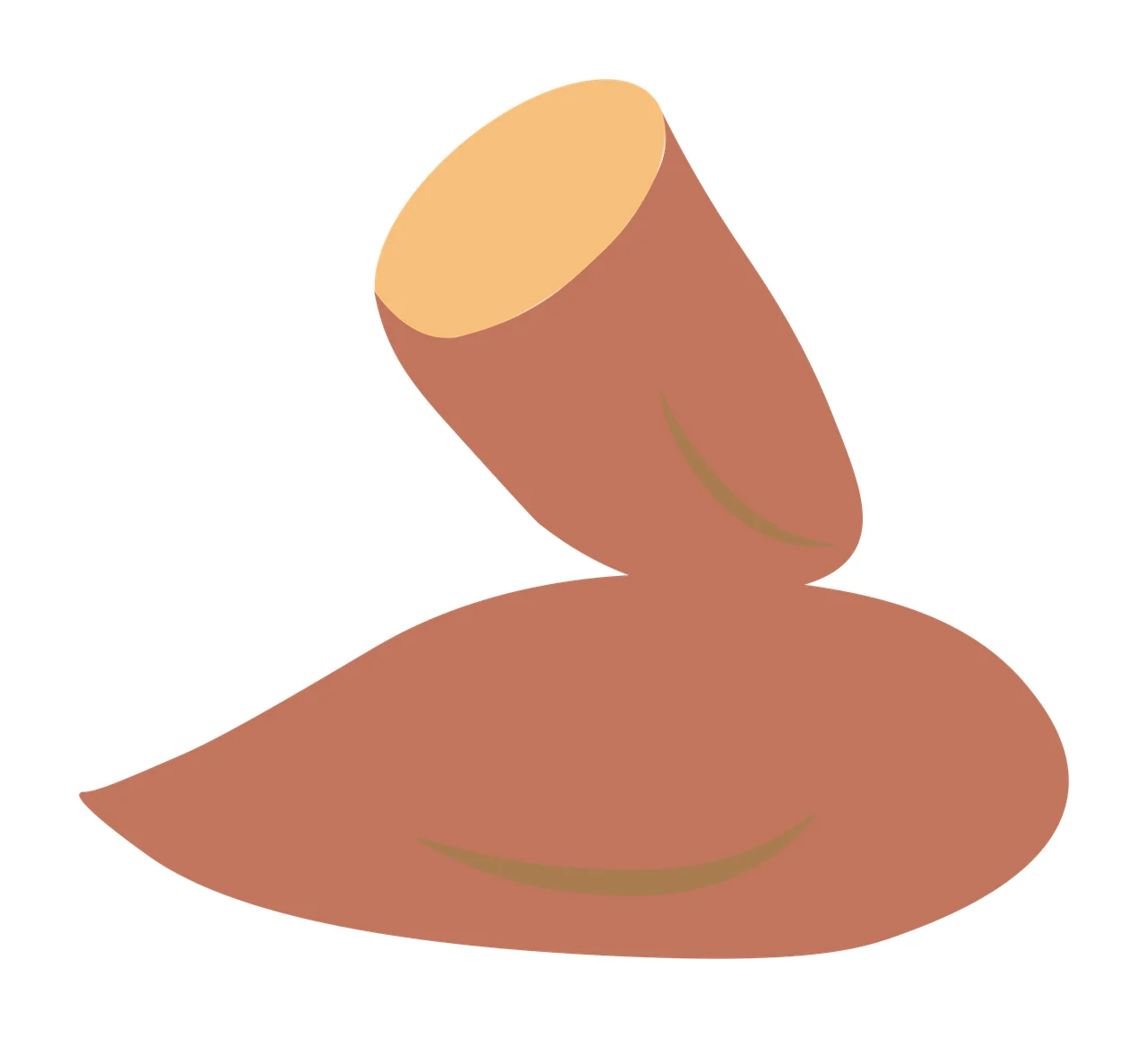Sweet potato Illustration with whole sweet potato, sliced sweet potato, yam piece and cut flesh in brown, terracotta and peach