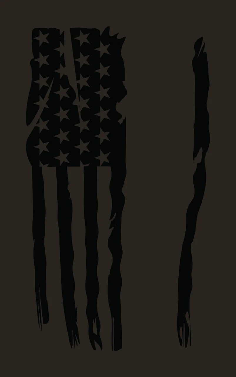Flag Tattered Black And White Graphic Tearing Stars Stripes contrast preview thumbnail