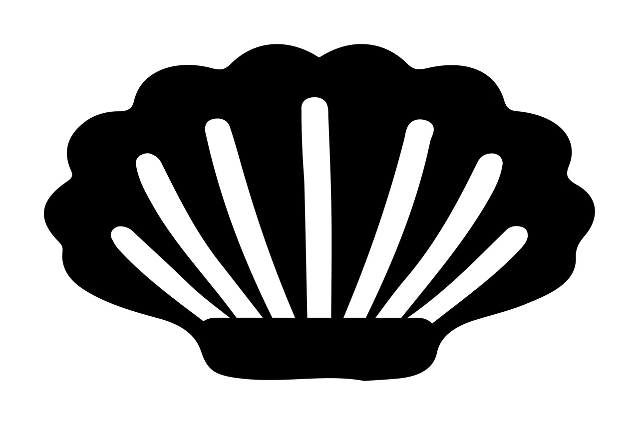 Sea Black Shell Graphic With Internal Vertical Lines white