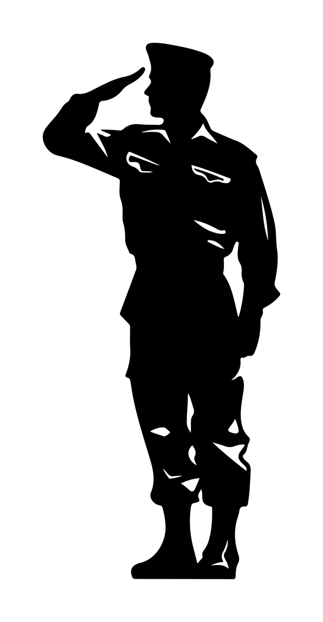 Full Body Silhouette Of An Individual In Military person saluting