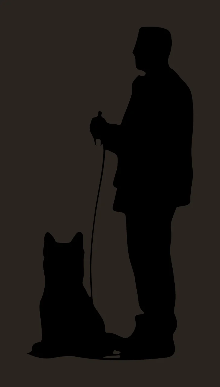 Dog Silhouette Of A Standing Person Holding Leash and black contrast preview thumbnail