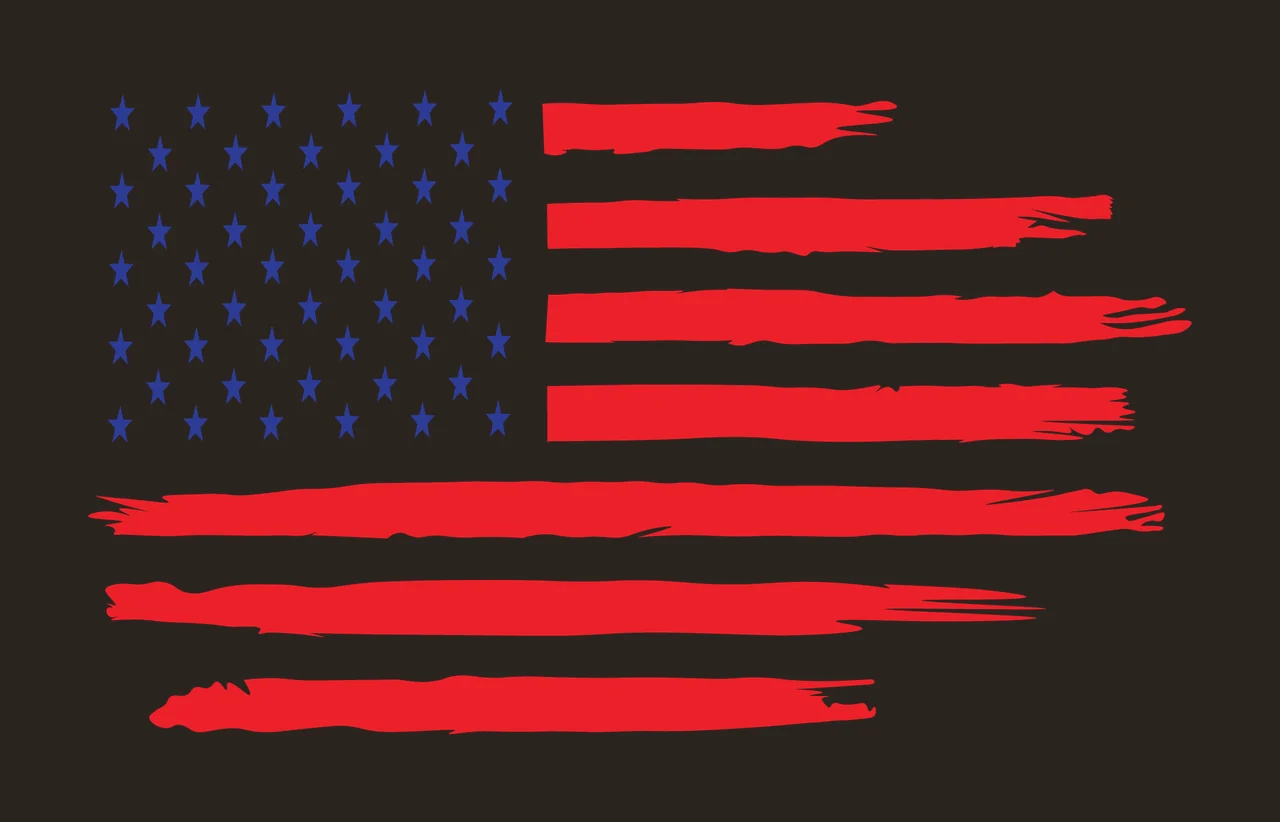 Flag American With Brush Strokes stars artistic black white contrast preview thumbnail