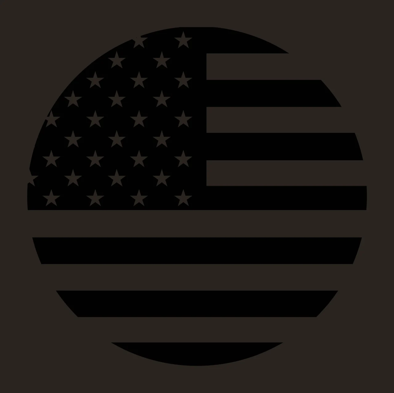 Flag Black Silhouette Of The United States national contained contrast preview thumbnail