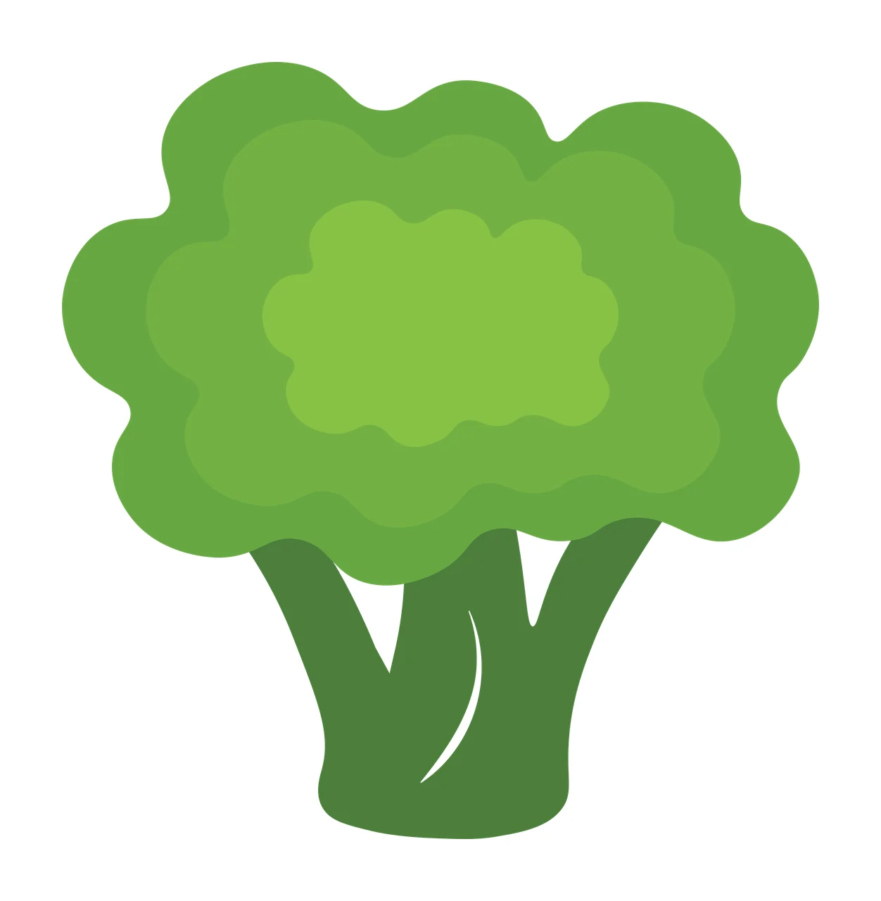 Broccoli Illustration with broccoli floret, stalk, layered green crown and stem in light green and dark green