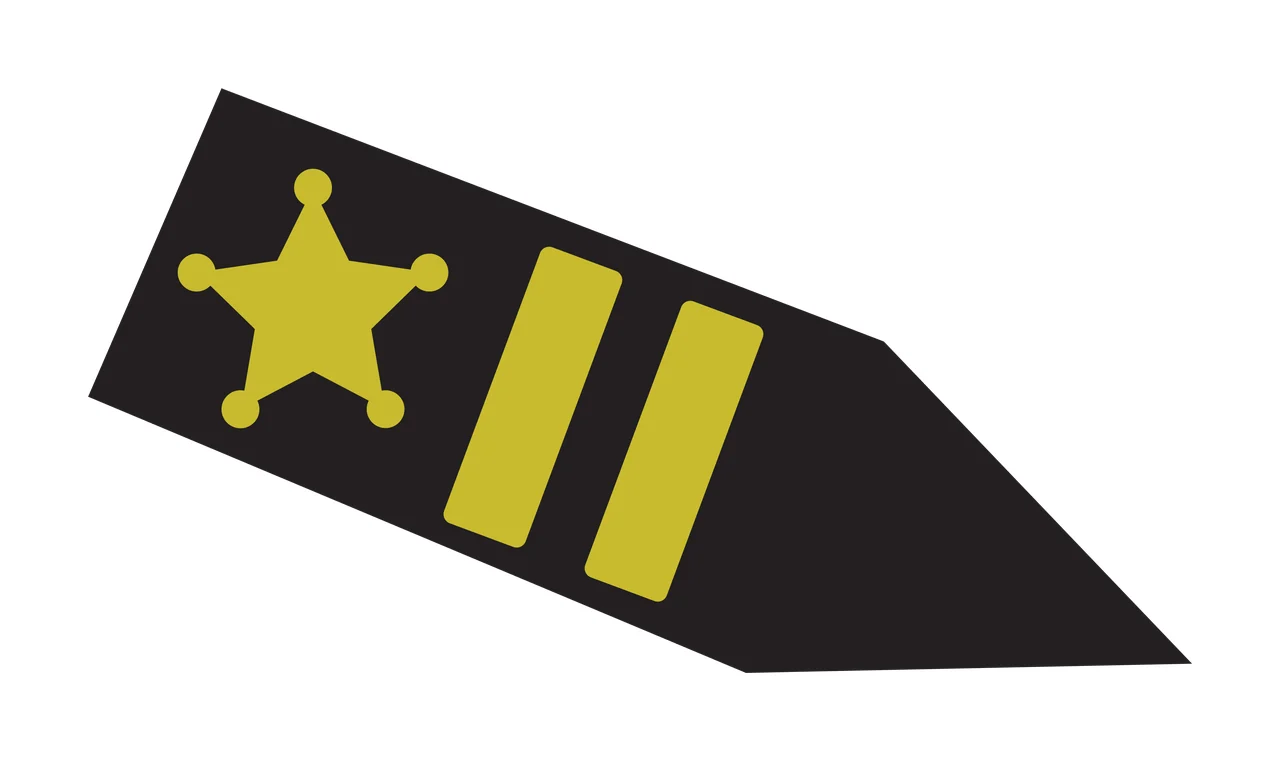 Tilted Black Arrow Shape Pointing Towards The Bottom tip shaft