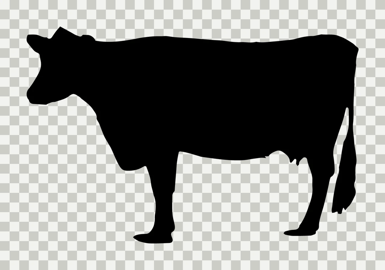 Cow Silhouette Profile Of A Standing Against White black animal transparency and detail preview thumbnail