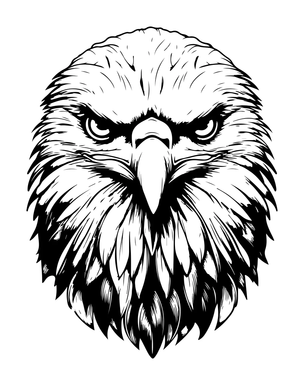 Eagle Bald Head Close Up focused feathers beak line drawing