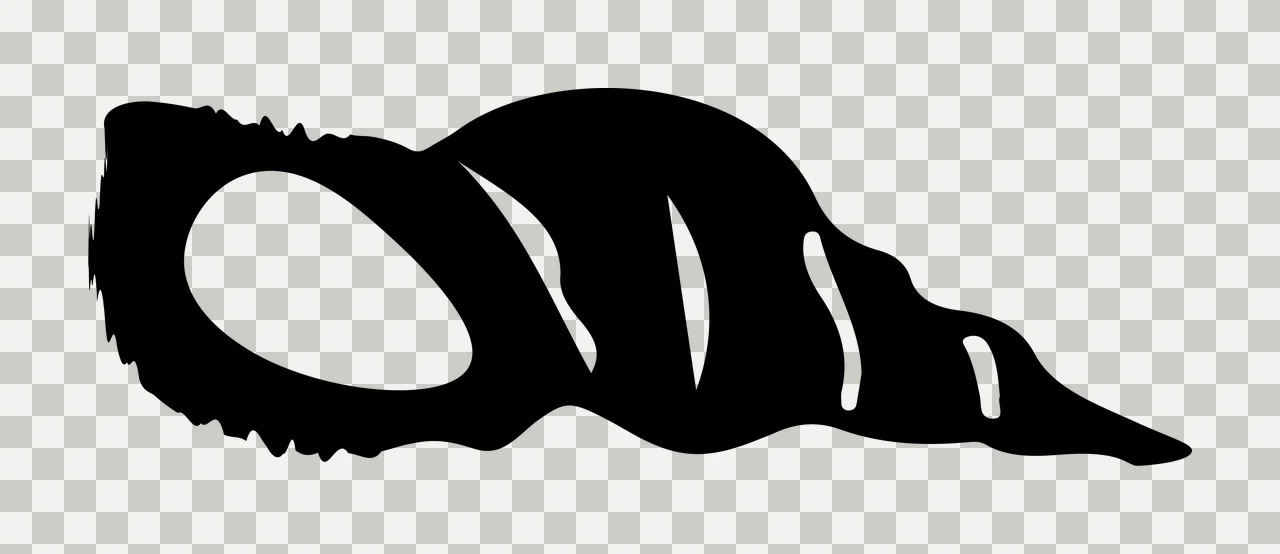 A Black Silhouette Of Spiral Shaped Seashell shell white marine transparency and detail preview thumbnail