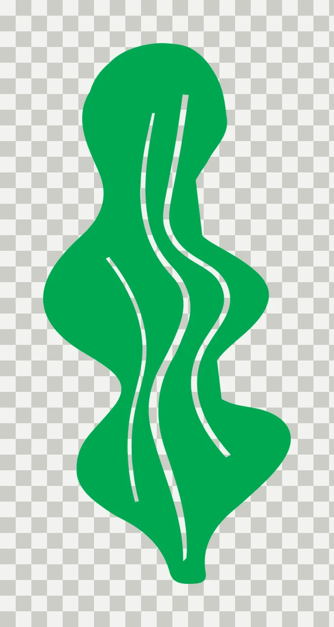 Green leaf Illustration with green wavy leaf, white line details and white background transparency and detail preview thumbnail